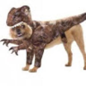 Meet your Posher, Sammy